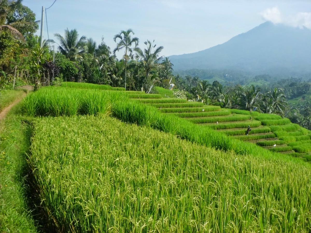 Zen Rooms Kuta Tuban Suites Dış mekan fotoğraf